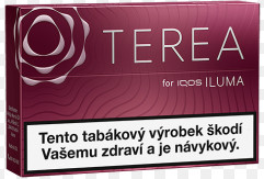 chi tiết TEREA RUSSET FOR IQOS 20KS