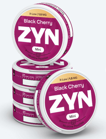 detail ZYN ICE MINT 11MG